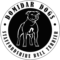 Logo CHS DOMIDAR DOGS