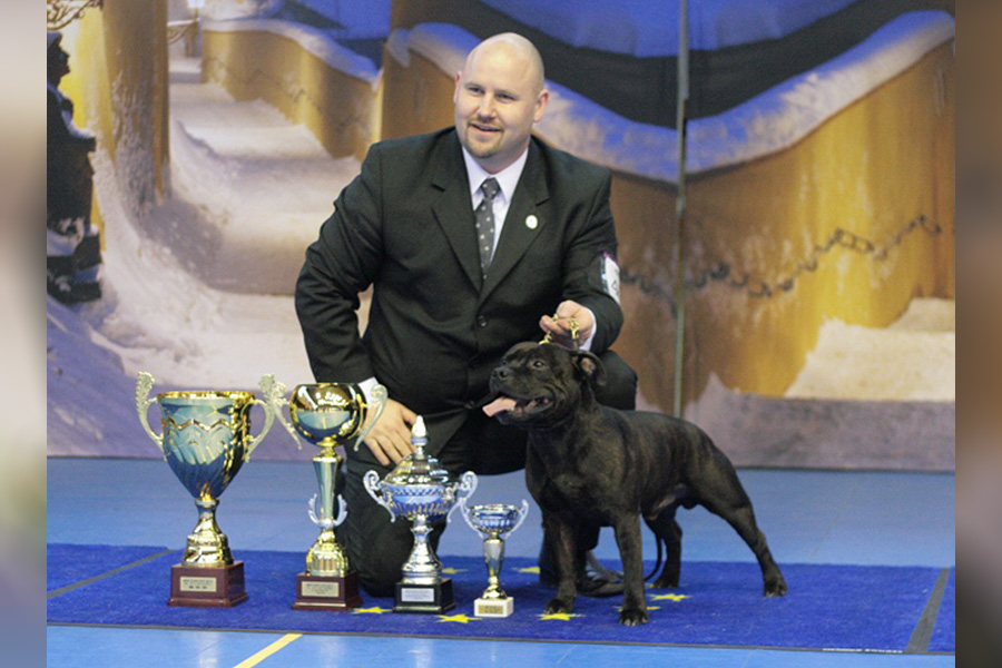 Shrnutí roku 2011