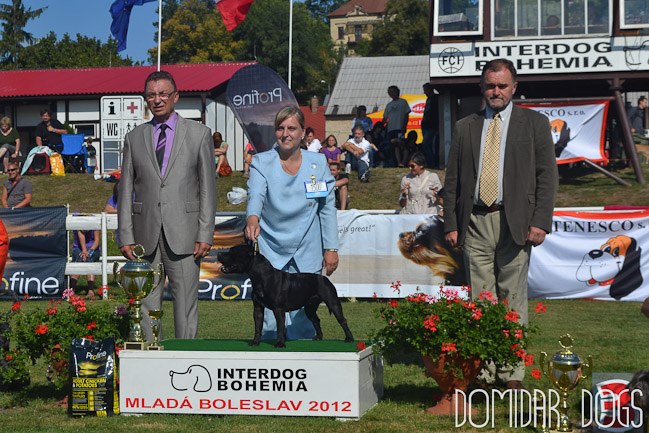 Shrnutí roku 2012