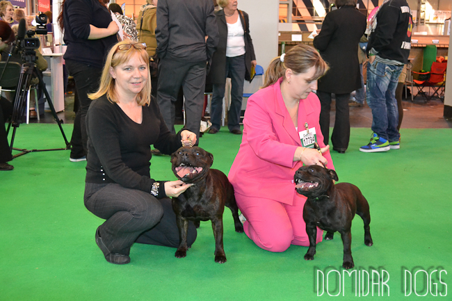Shrnutí výstavní sezóny Domidar Dogs 2012