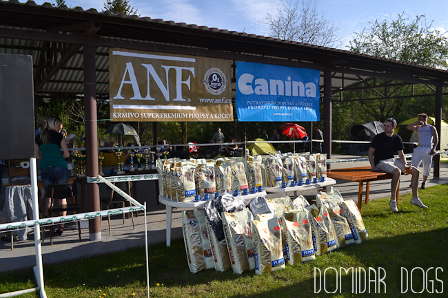 Shrnutí výstavní sezóny Domidar Dogs 2012