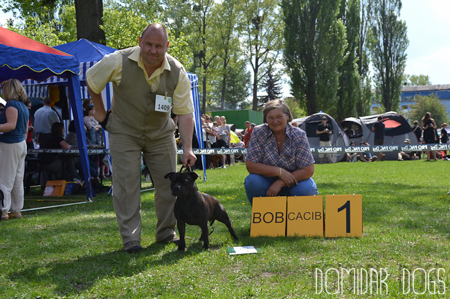 Shrnutí výstavní sezóny Domidar Dogs 2012