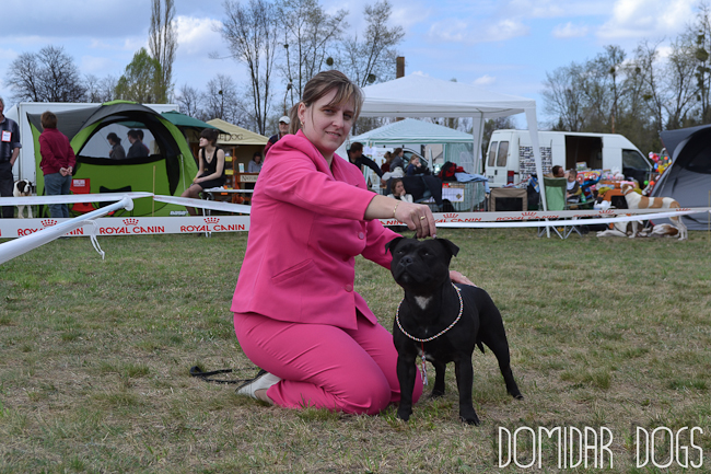 Shrnutí výstavní sezóny Domidar Dogs 2012