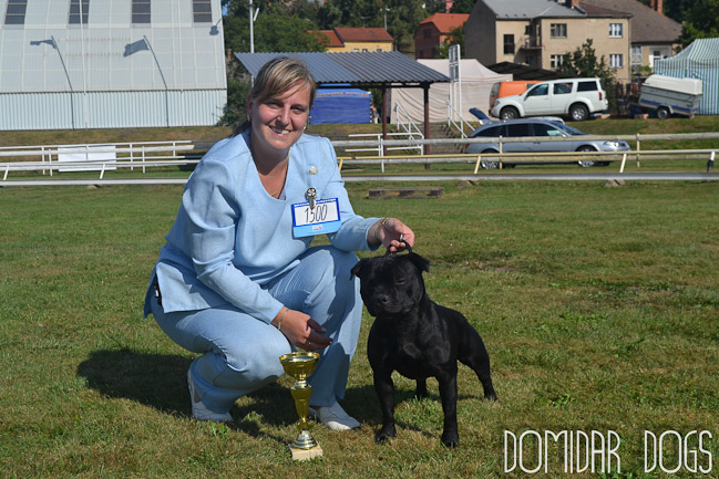 Shrnutí výstavní sezóny Domidar Dogs 2012