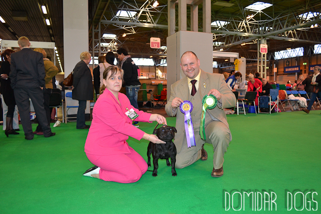 Shrnutí výstavní sezóny Domidar Dogs 2012