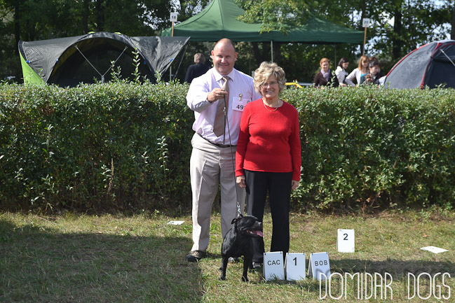 Shrnutí výstavní sezóny Domidar Dogs 2012