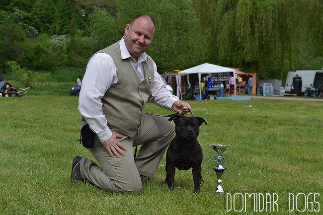 Shrnutí výstavní sezóny Domidar Dogs 2012