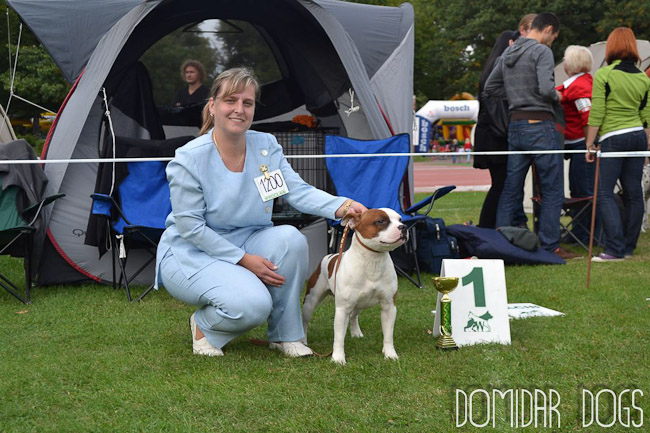Shrnutí výstavní sezóny Domidar Dogs 2012