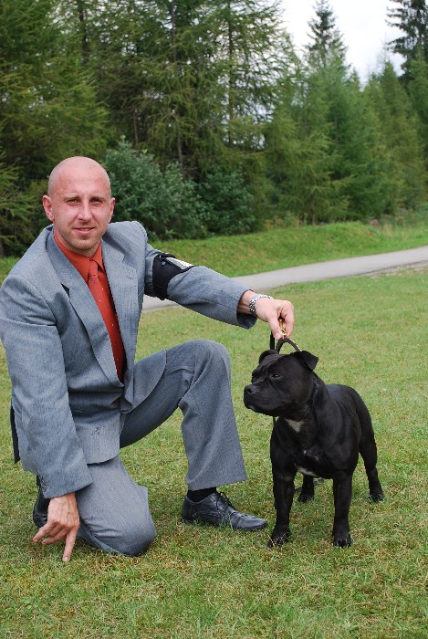 Shrnutí výstavní sezóny Domidar Dogs 2012