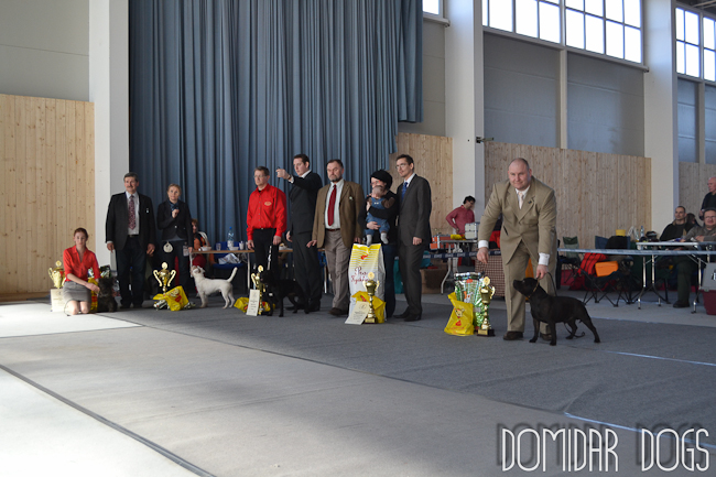 Shrnutí výstavní sezóny Domidar Dogs 2012