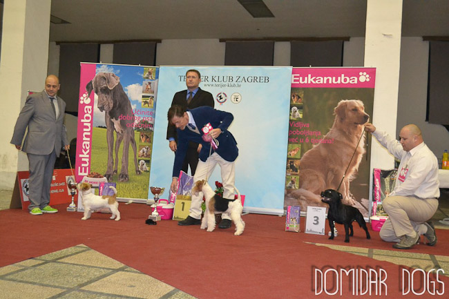 Shrnutí výstavní sezóny Domidar Dogs 2012