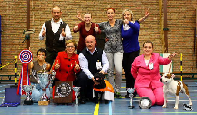Výstavní sezóna chovatelské stanice Domidar Dogs 2013