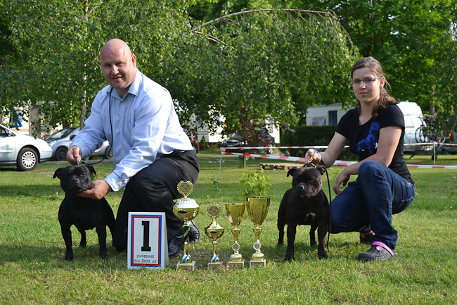 Výstavní sezóna chovatelské stanice Domidar Dogs 2013