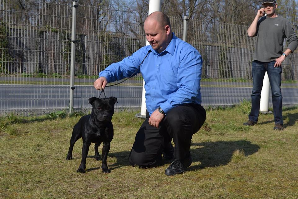Shrnutí výstavní sezóny Domidar Dogs 2014