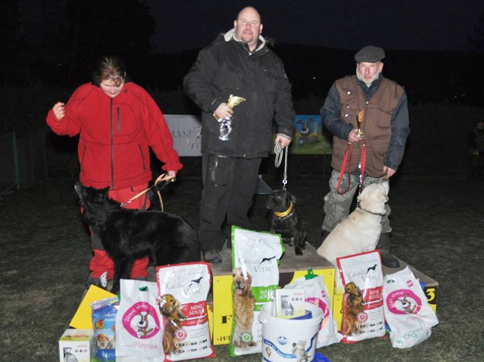 Shrnutí výstavní sezóny Domidar Dogs 2014