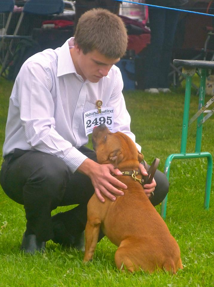 Shrnutí výstavní sezóny Domidar Dogs 2014