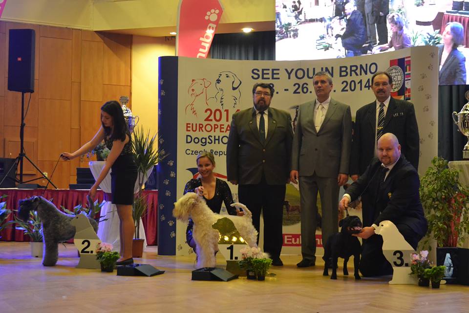 Shrnutí výstavní sezóny Domidar Dogs 2014