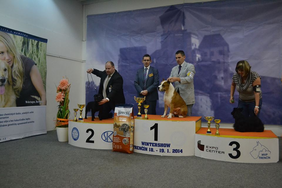 Shrnutí výstavní sezóny Domidar Dogs 2014