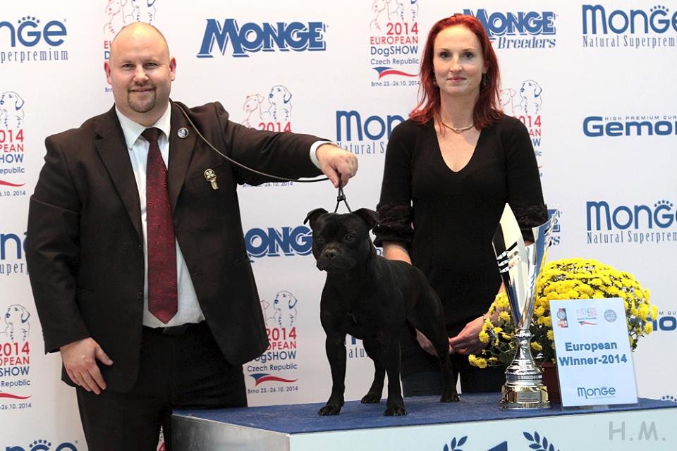 Shrnutí výstavní sezóny Domidar Dogs 2014