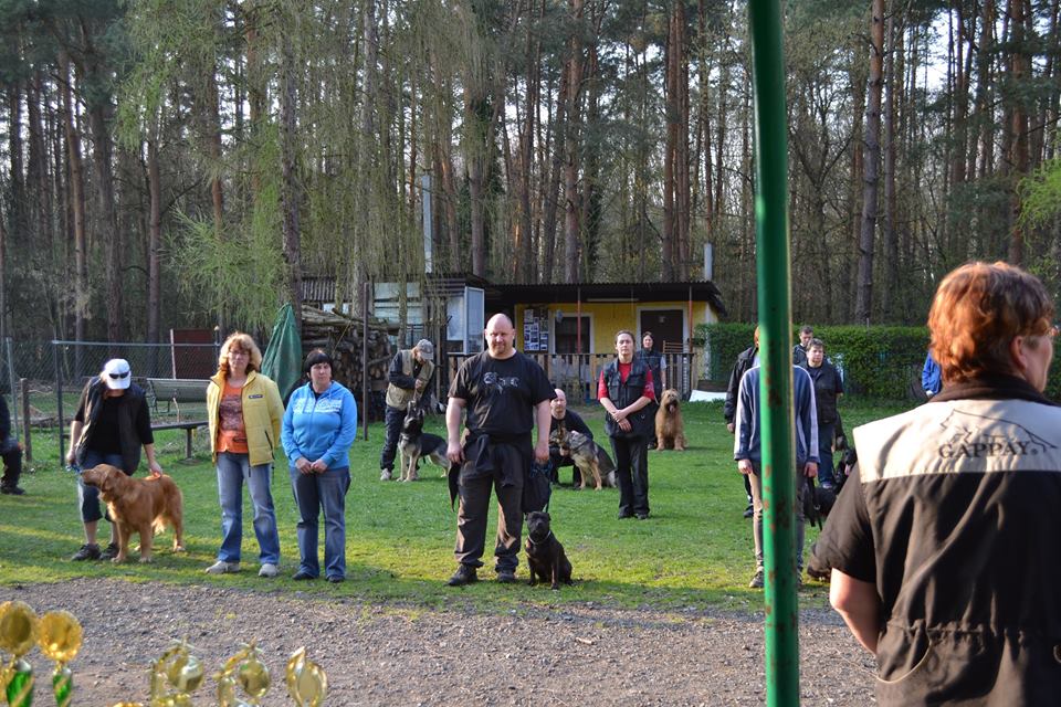 Shrnutí výstavní sezóny Domidar Dogs 2014