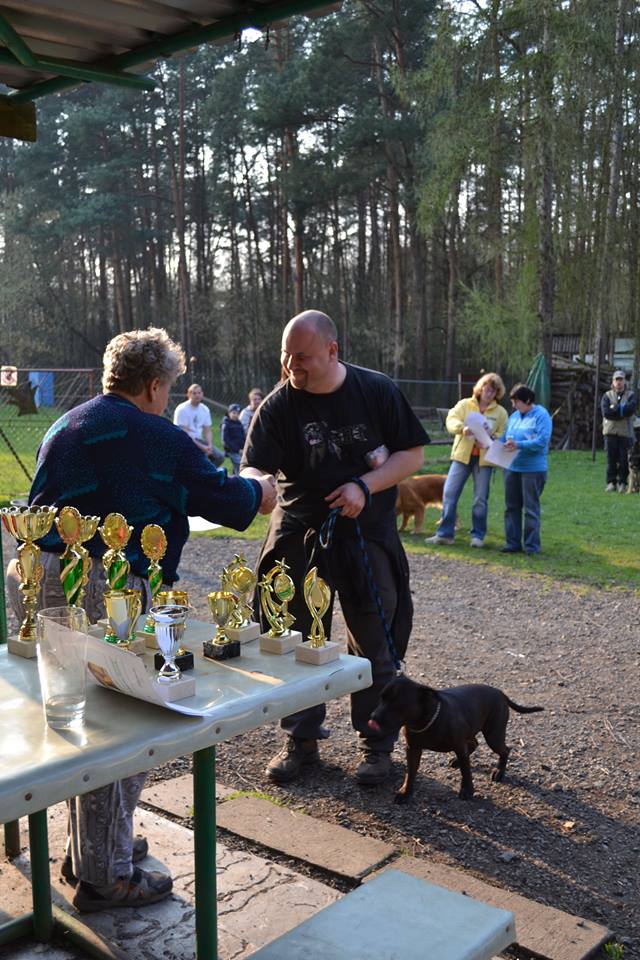 Shrnutí výstavní sezóny Domidar Dogs 2014