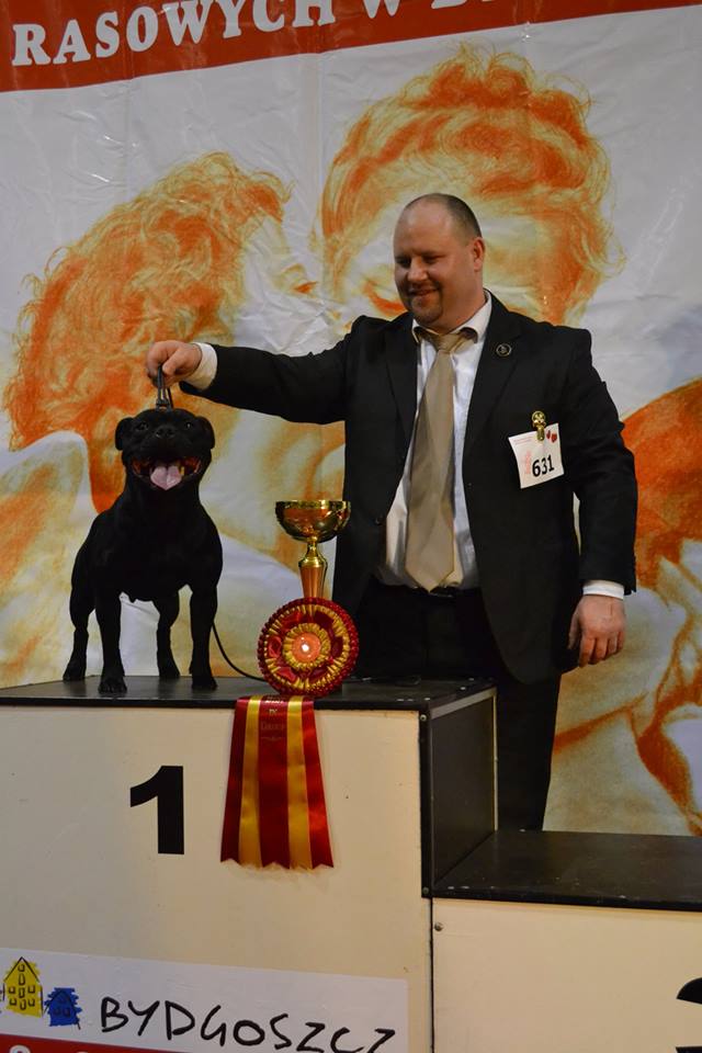 Shrnutí výstavní sezóny Domidar Dogs 2014