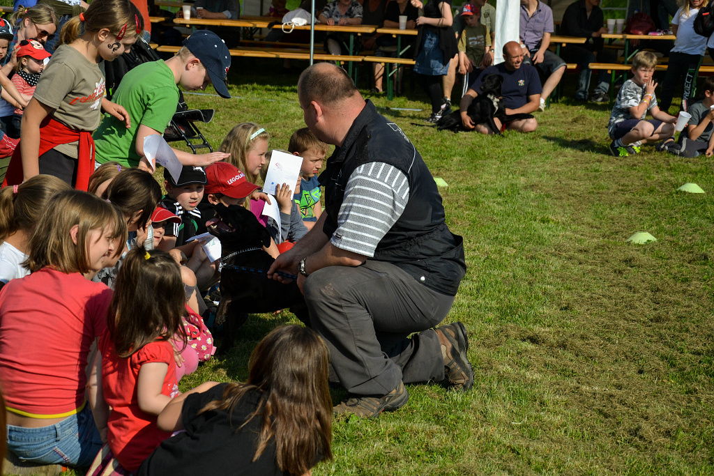 Shrnutí výstavní sezóny Domidar Dogs 2014