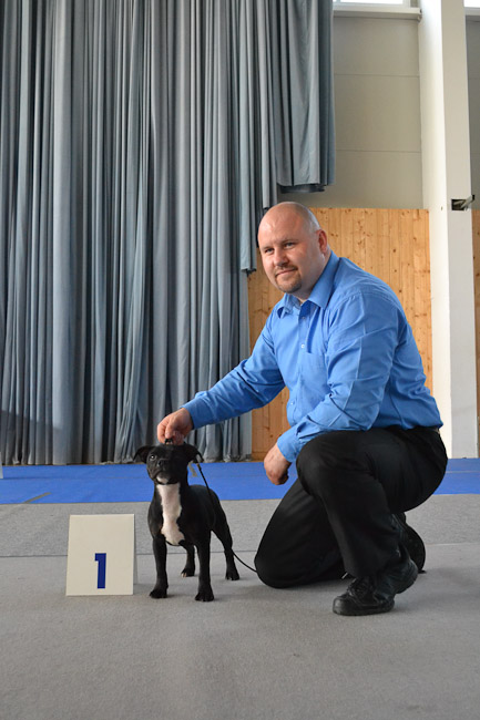 Shrnutí výstavní sezóny Domidar Dogs 2014
