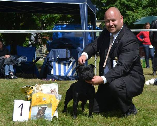 Shrnutí výstavní sezóny Domidar Dogs 2014