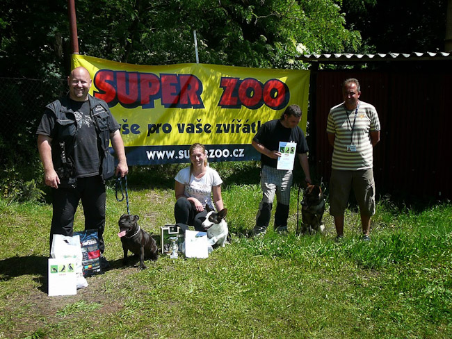 Shrnutí výstavní sezóny Domidar Dogs 2014