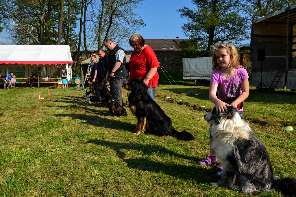 Shrnutí výstavní sezóny Domidar Dogs 2014