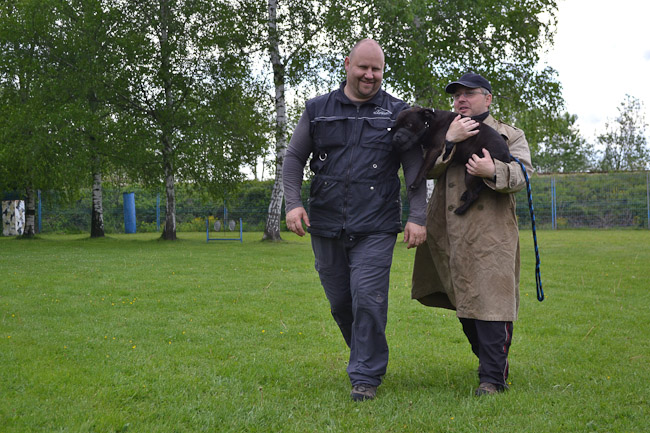 Shrnutí výstavní sezóny Domidar Dogs 2014