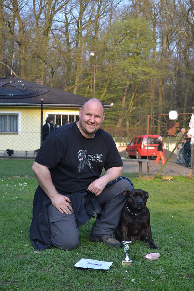 Shrnutí výstavní sezóny Domidar Dogs 2014