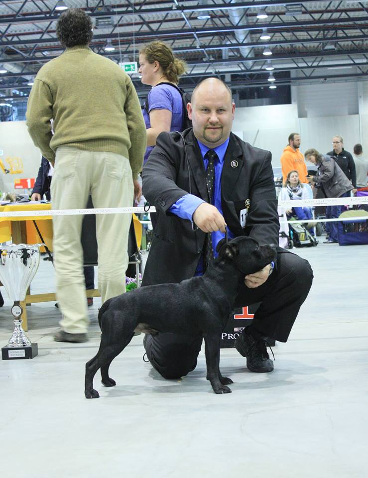 Shrnutí výstavní sezóny Domidar Dogs 2014
