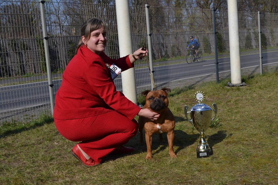 Shrnutí výstavní sezóny Domidar Dogs 2014