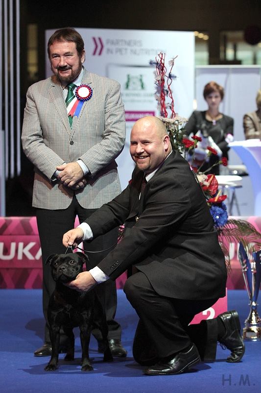 Shrnutí výstavní sezóny Domidar Dogs 2014