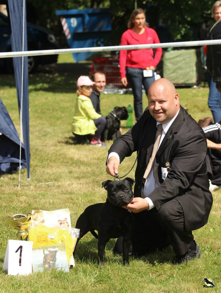 Shrnutí výstavní sezóny Domidar Dogs 2014