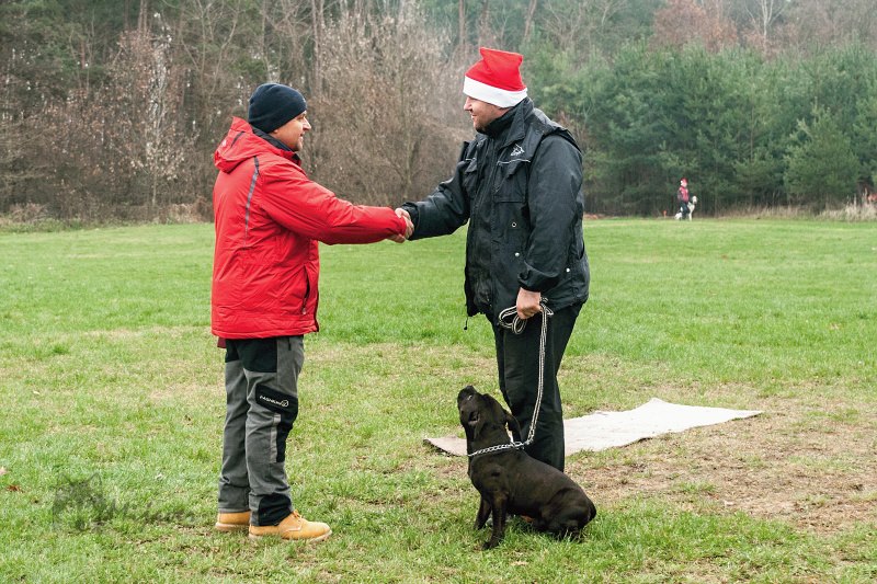 Shrnutí výstavní sezóny Domidar Dogs 2014