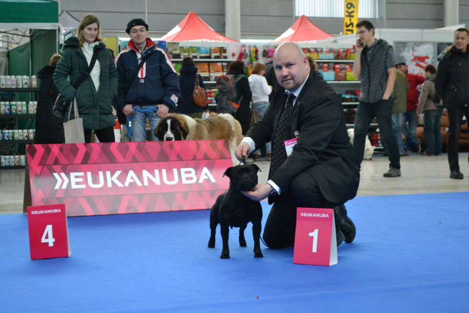 Shrnutí výstavní sezóny Domidar Dogs 2014
