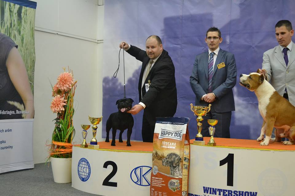 Shrnutí výstavní sezóny Domidar Dogs 2014