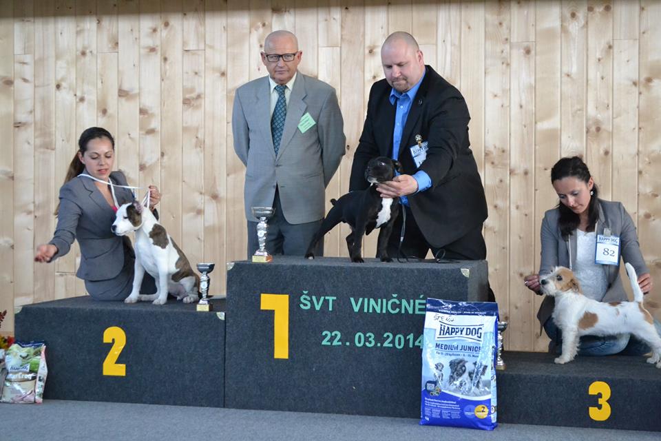 Shrnutí výstavní sezóny Domidar Dogs 2014