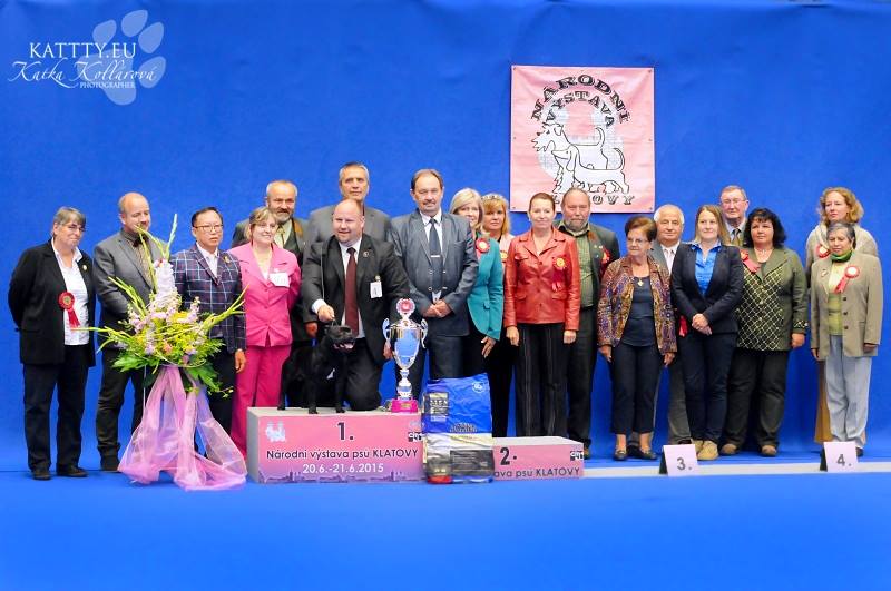 Shrnutí roku 2015