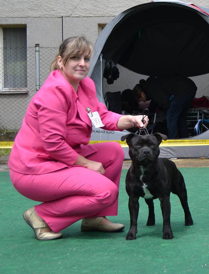 Shrnutí výstavní sezóny Domidar Dogs 2015