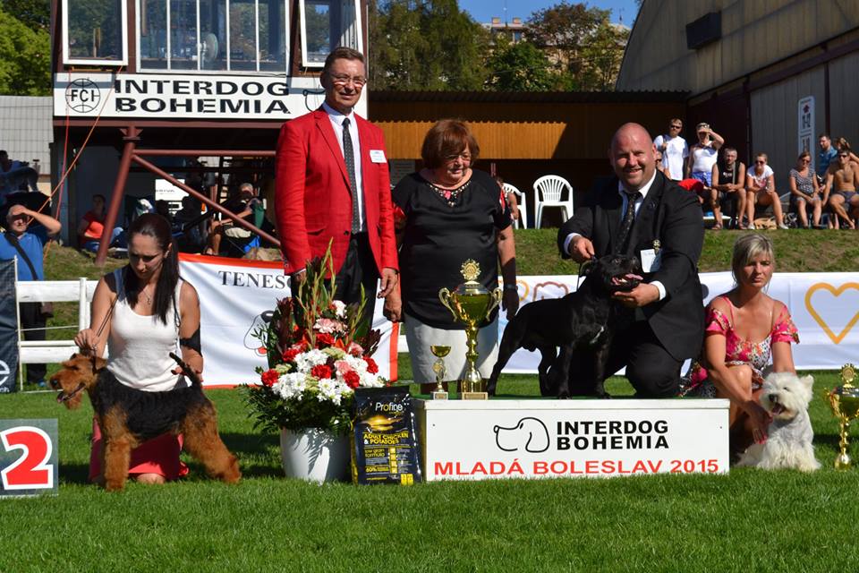 Shrnutí výstavní sezóny Domidar Dogs 2015