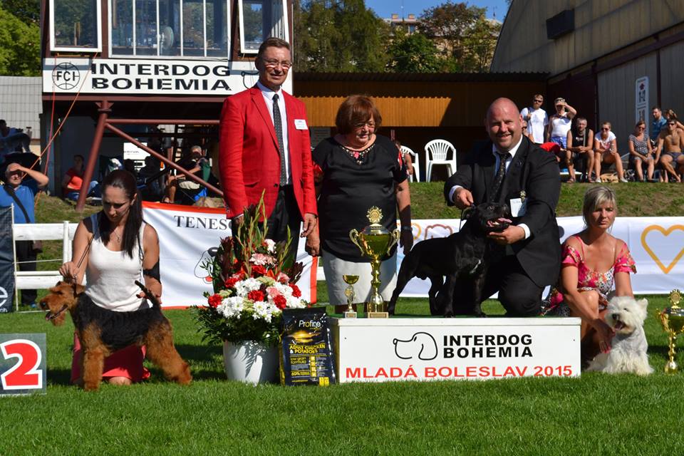 2015 Summary - DOMIDAR DOGS Kennel