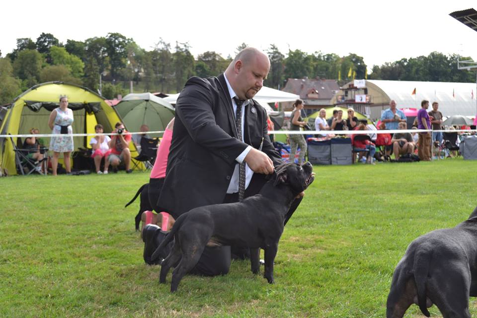 2015 Summary - DOMIDAR DOGS Kennel