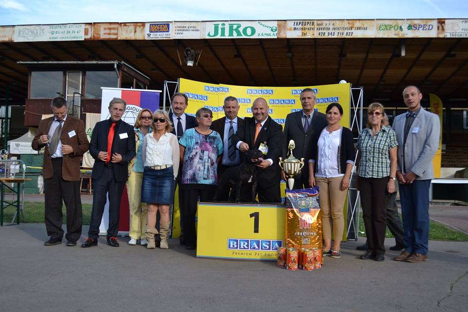 Shrnutí výstavní sezóny Domidar Dogs 2015