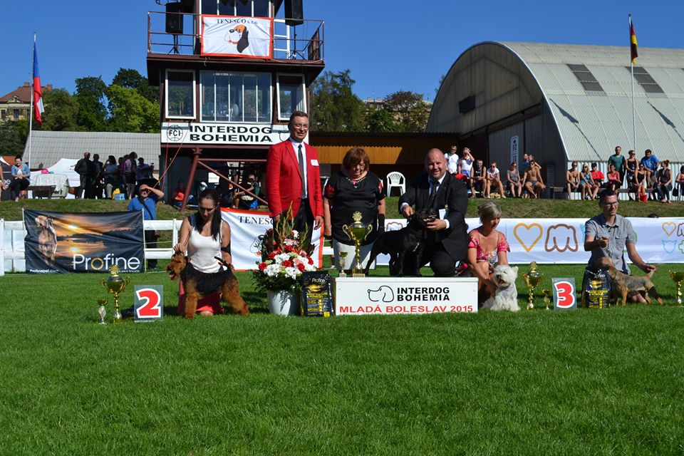 Shrnutí výstavní sezóny Domidar Dogs 2015
