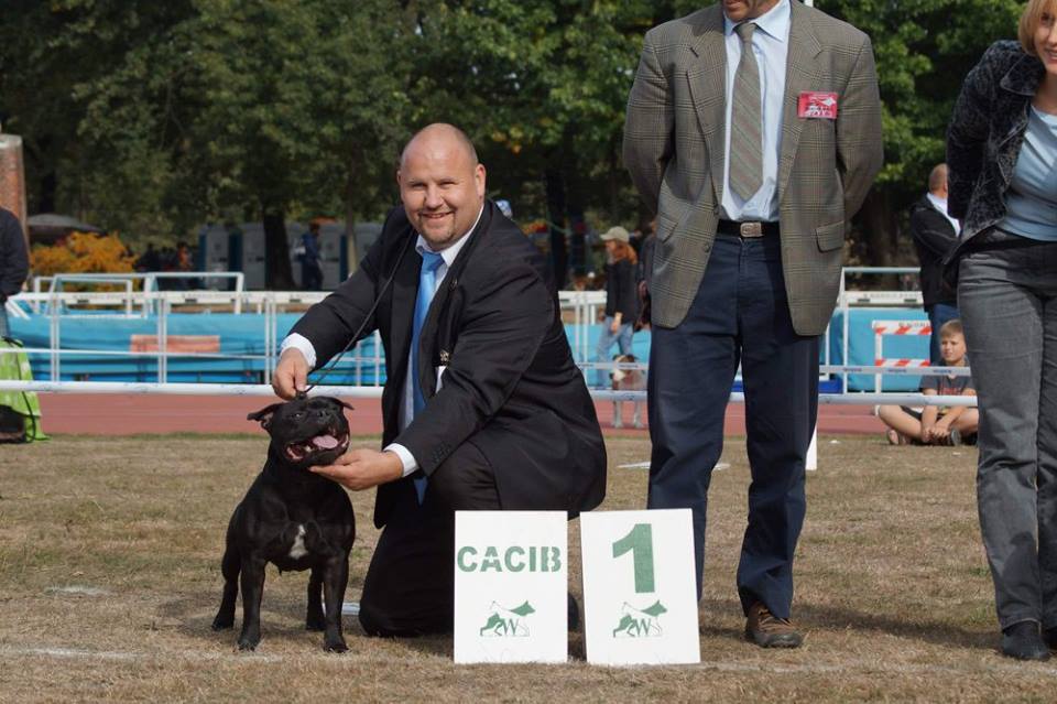 Shrnutí výstavní sezóny Domidar Dogs 2015