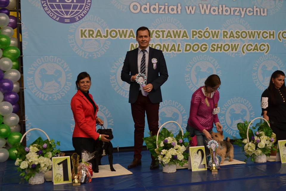 Shrnutí výstavní sezóny Domidar Dogs 2015